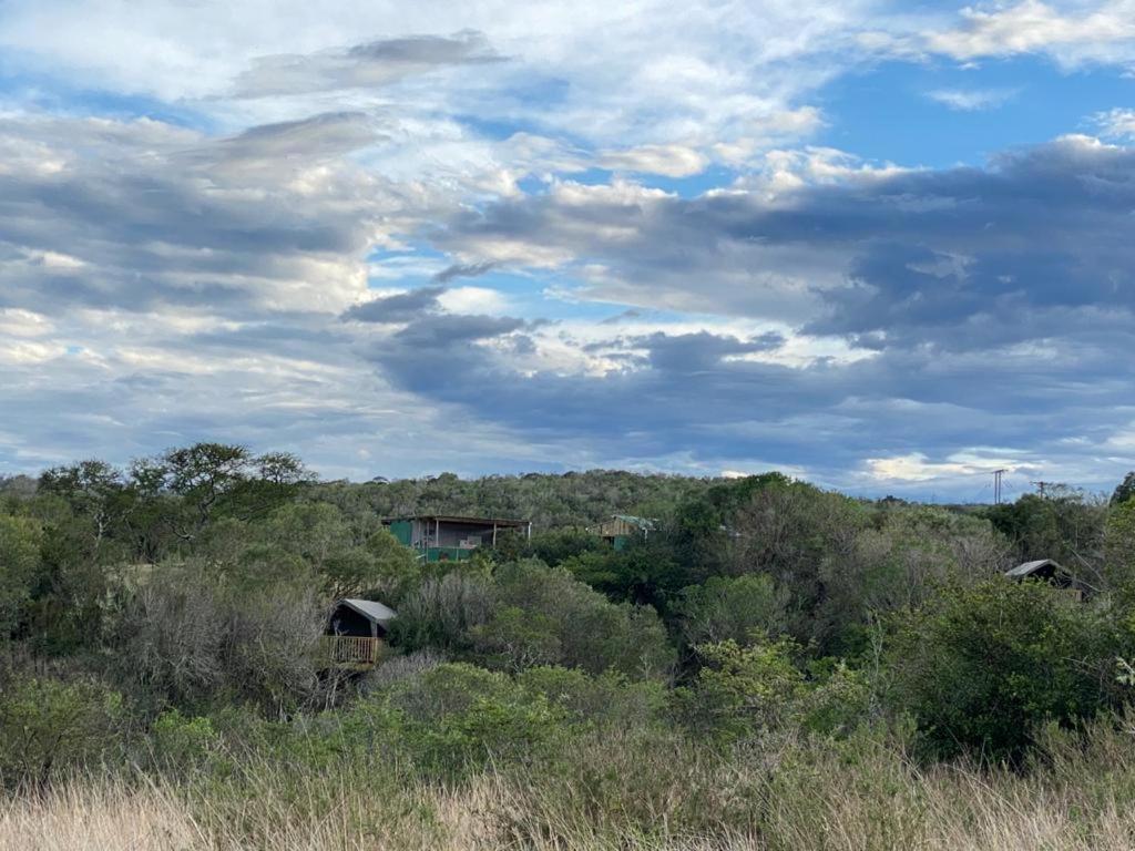 Horseshoe Game Reserve East London Extérieur photo