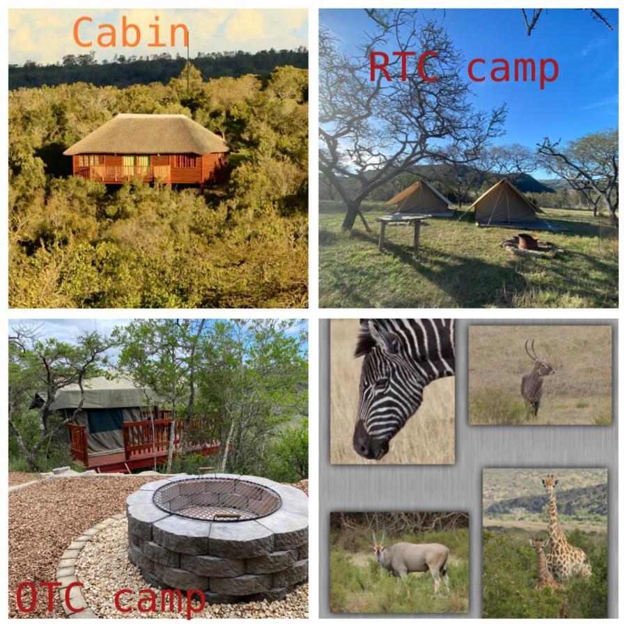 Horseshoe Game Reserve East London Extérieur photo