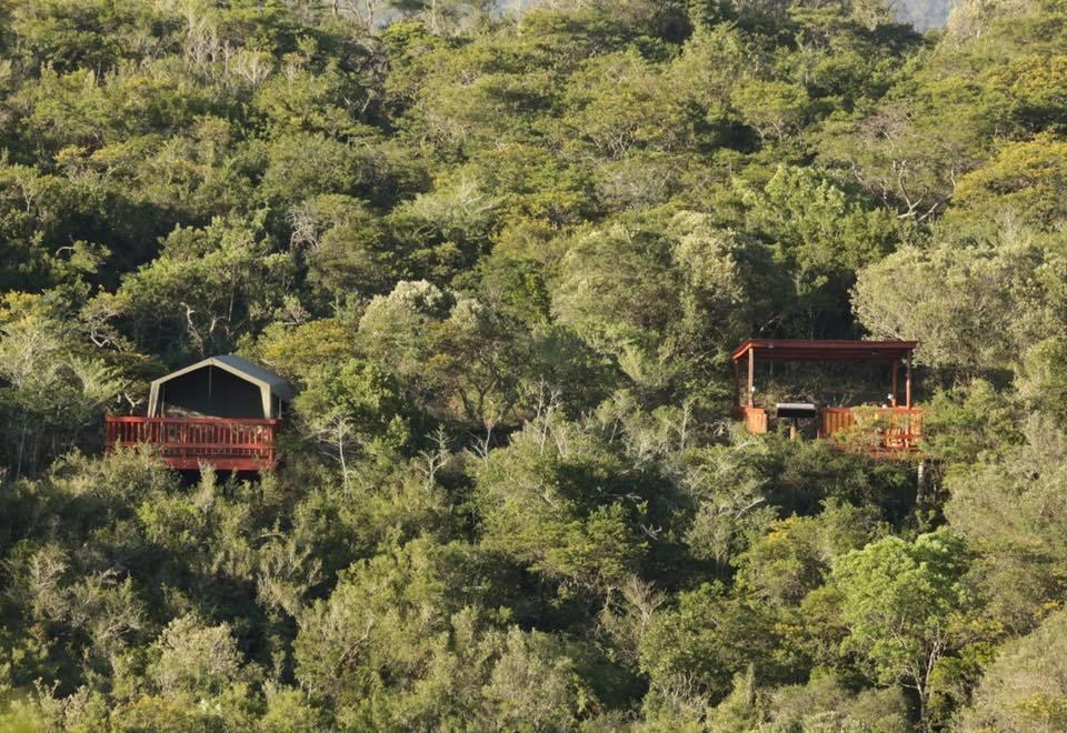 Horseshoe Game Reserve East London Extérieur photo