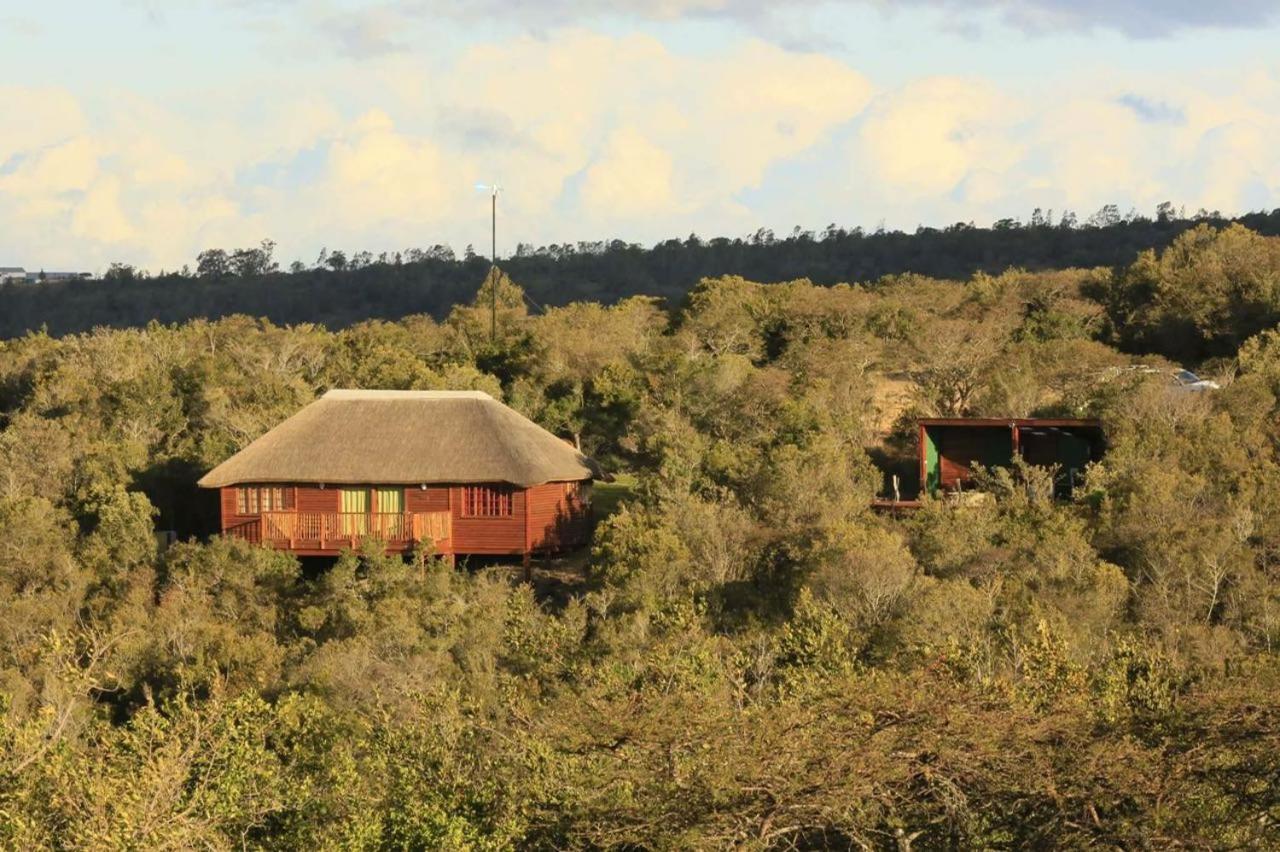 Horseshoe Game Reserve East London Extérieur photo